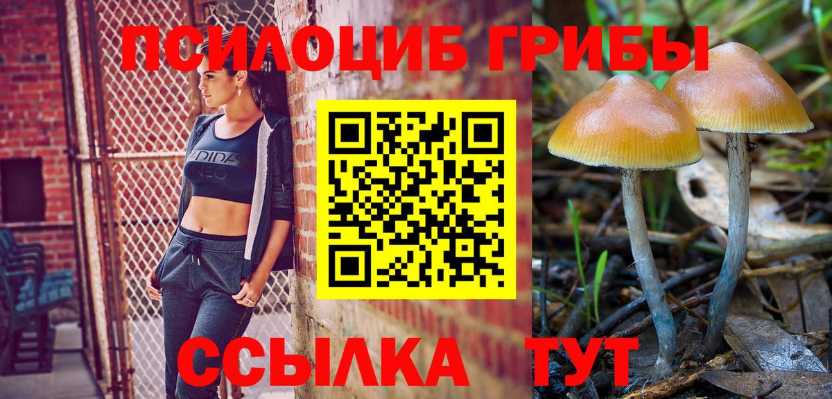 Галлюциногенные грибы Psilocybe  цены   Наро-Фоминск  Вход с VPN 
