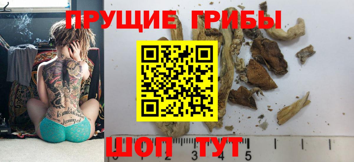 Псилоцибиновые грибы мухоморы Наро-Фоминск